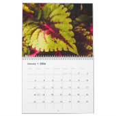 Calendrier Oahu, Hawaï, la photographie par la restauration (Jan 2026)