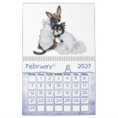 Calendrier obsédant de désordre du chiwawa 2013 (Feb 2027)