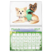 Calendrier obsédant de désordre du chiwawa 2013 (Mar 2027)