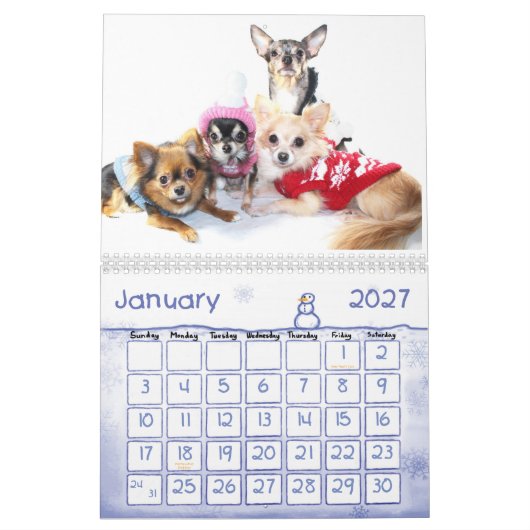 Calendrier obsédant de désordre du chiwawa 2013 (Jan 2027)