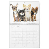 Calendrier obsédant du désordre 2014 de chiwawa (Jan 2027)