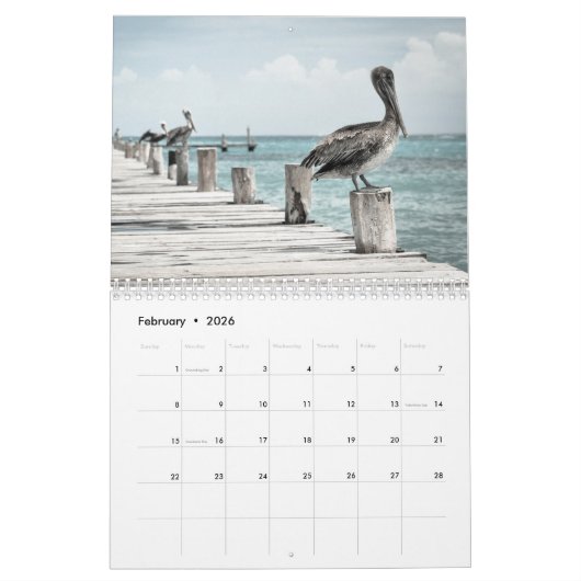 Calendrier Océan côtier Pélican (Feb 2026)