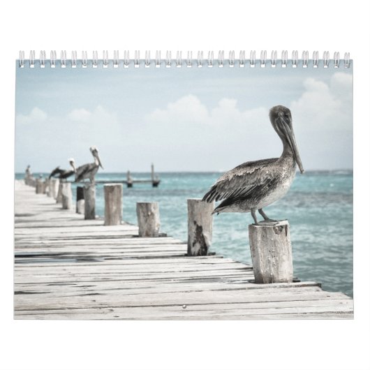 Calendrier Océan côtier Pélican (Protection)