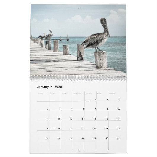 Calendrier Océan côtier Pélican (Jan 2026)