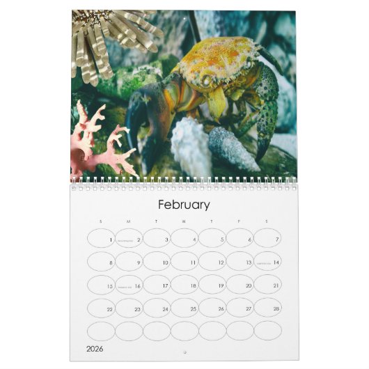 Calendrier Ocean (Under Sea Life) (Feb 2026)