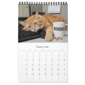 Calendrier Office Fun Cats Calendar 2026 / Cat Photo Calendar (Jan 2026)