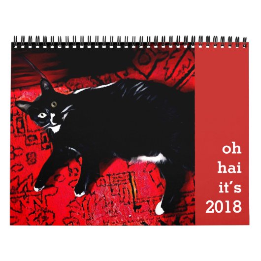 Calendrier Oh Hai (Protection)