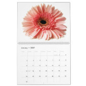 Calendrier Oiseau (Jan 2027)