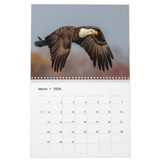 Calendrier Oiseau 2026 (Mar 2026)
