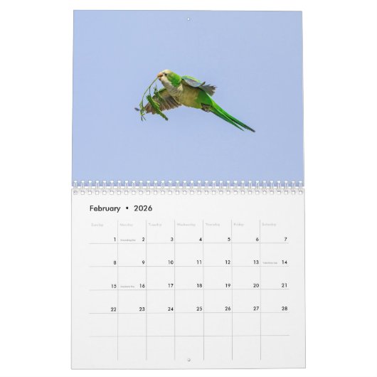 Calendrier Oiseau 2026 (Feb 2026)