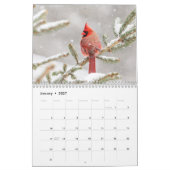 Calendrier Oiseau 2026 (Jan 2027)