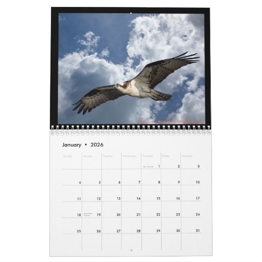 Calendrier Oiseaux (Jan 2026)
