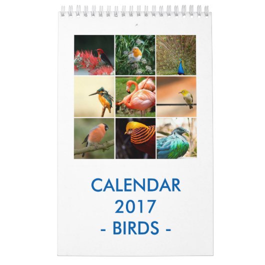 Calendrier Oiseaux (Protection)