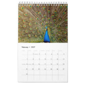 Calendrier Oiseaux (Feb 2027)