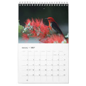 Calendrier Oiseaux (Jan 2027)