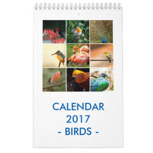 Calendrier Oiseaux