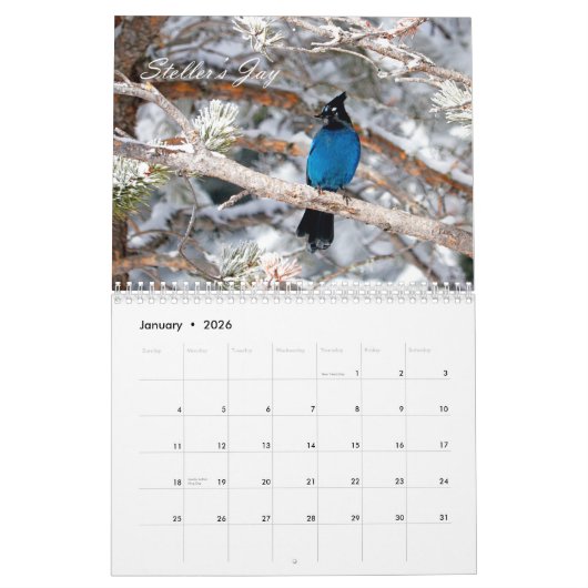 Calendrier Oiseaux (Jan 2026)