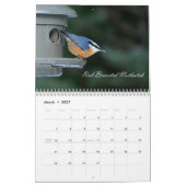 Calendrier Oiseaux (Mar 2027)