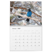 Calendrier Oiseaux (Jan 2027)