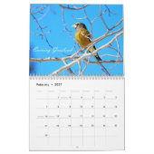 Calendrier Oiseaux (Feb 2027)