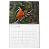 Calendrier Oiseaux (Feb 2027)