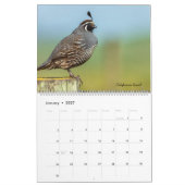 Calendrier Oiseaux (Jan 2027)