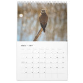 Calendrier oiseaux (Mar 2027)