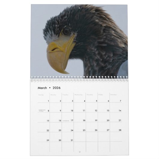 Calendrier Oiseaux 2026 (Mar 2026)