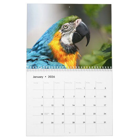 Calendrier Oiseaux 2026 (Jan 2026)