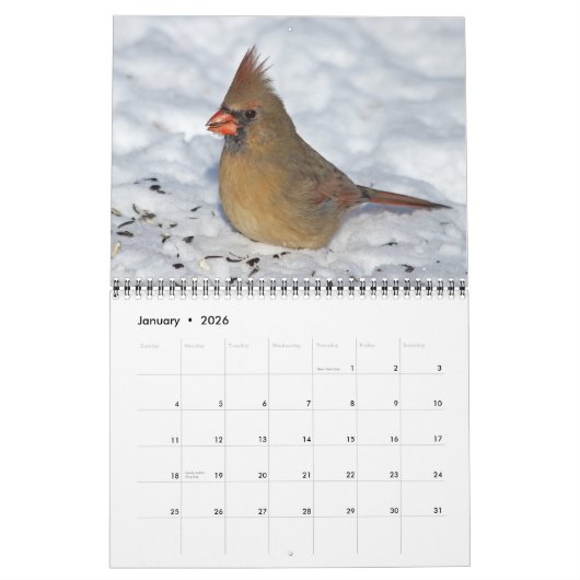 Calendrier Oiseaux 2026 (Jan 2026)