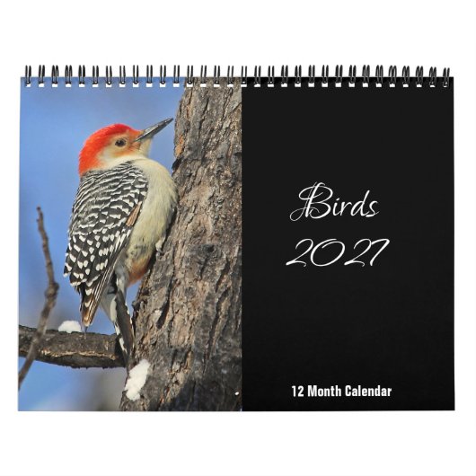 Calendrier Oiseaux 2027 (Protection)