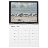 Calendrier - Oiseaux à la plage (Feb 2026)