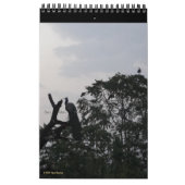 Calendrier Oiseaux à Silhouette 2026 Faune et nature Photo (Mar 2026)