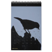 Calendrier Oiseaux à Silhouette 2026 Faune et nature Photo (Feb 2026)