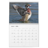 Calendrier Oiseaux aquatiques (Mar 2026)