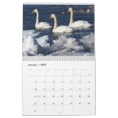 Calendrier Oiseaux aquatiques (Jan 2027)