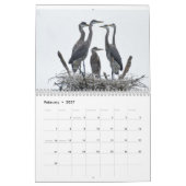 Calendrier Oiseaux aquatiques (Feb 2027)