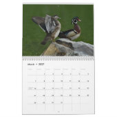 Calendrier Oiseaux aquatiques 2 (Mar 2027)