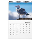 Calendrier Oiseaux aquatiques de Californie du Sud par Kelly  (Mar 2026)