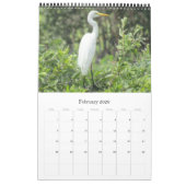 Calendrier oiseaux australie top end 2025 (Feb 2026)