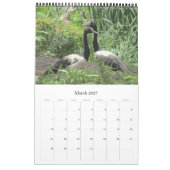Calendrier oiseaux australie top end 2027 (Mar 2027)