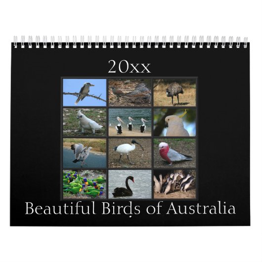 Calendrier Oiseaux australiens colorés (Protection)
