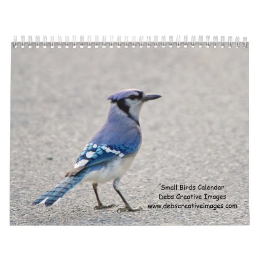 Calendrier Oiseaux chanteurs de la vallée de l'Hudson 2027, P (Protection)