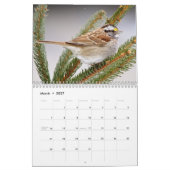 Calendrier Oiseaux chanteurs de la vallée de l'Hudson 2027, P (Mar 2027)