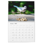 Calendrier Oiseaux chanteurs de la vallée de l'Hudson 2027, P (Jan 2027)