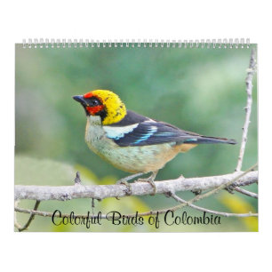 Calendrier Oiseaux colorés de la Colombie