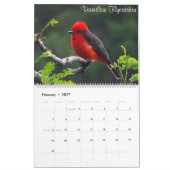 Calendrier Oiseaux colorés de la Colombie (Feb 2027)