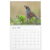 Calendrier Oiseaux d'Amérique (Jan 2027)
