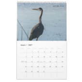 Calendrier Oiseaux d'Amérique (Mar 2027)