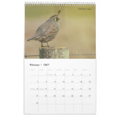 Calendrier Oiseaux d'Amérique (Feb 2027)